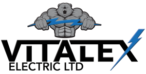 VITALEX-LOGO-new-1024×518